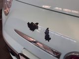 Fiat 500 Lounge*LEDER*CHROM-SCHIEBEDACH-S.LACK - Fiat 500: Chrom