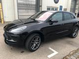 Porsche Macan, Volleder, ACC, Pano, Sound, 20 Zoll - Porsche Macan in Augsburg