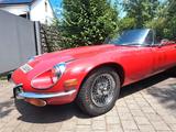 Jaguar E-Type Cabriolet V12 Serie III, Bj. 1971 - Jaguar E-Type: Cabrio, V12
