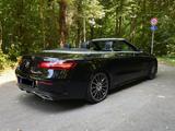 Mercedes-Benz E 300  AMG - MB Garantie, Standheizung  - Mercedes-Benz E 300: Cabrio