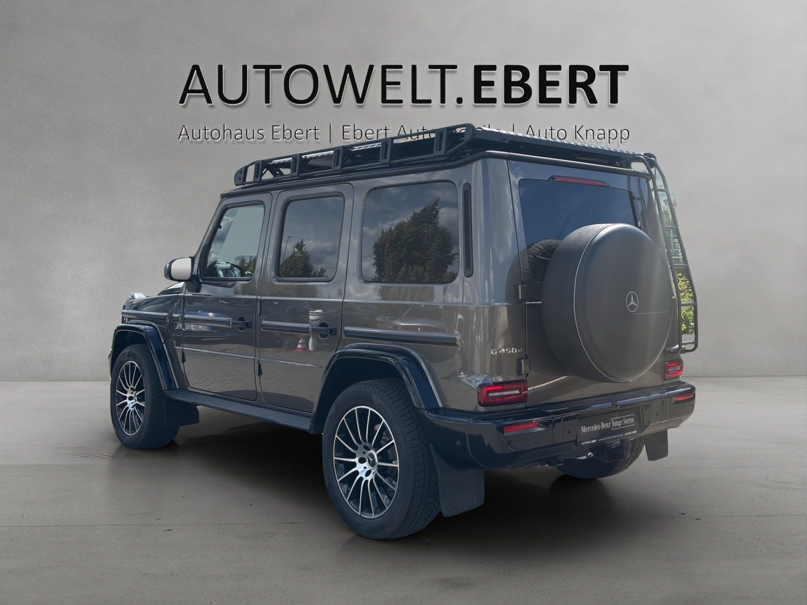 Fahrzeugabbildung Mercedes-Benz G450d Professlo SUPERIOR bicolour AHK Dachträger