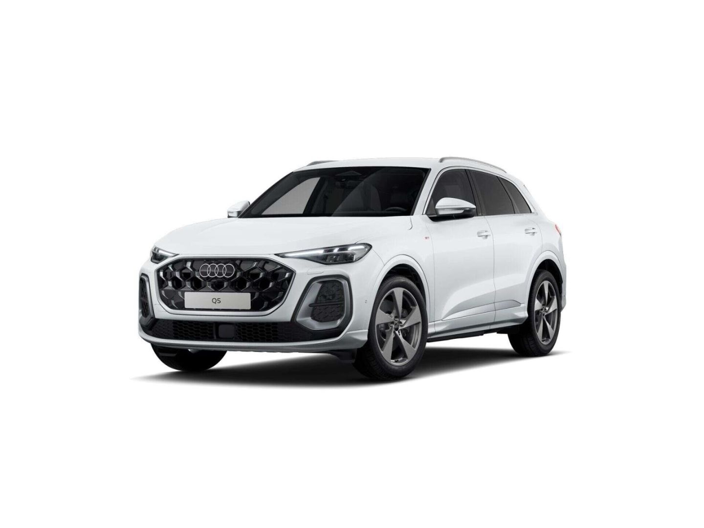 Audi Q5 TDI quattro S line AHK 20'' RFK Memory foto 2