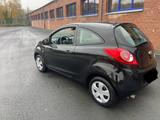 Ford Ka 1,2 ltr  - Ford Ka/Ka+ in Leverkusen