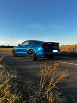 Ford Mustang 5.0 Ti-VCT V8 GT GT - Ford Mustang von privat