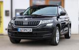 Skoda Kodiaq 2.0 TDI Ambition 4x4 *Automatik*Allrad*Ca - Skoda Kodiaq: Ambition