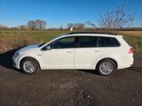 Volkswagen Golf VII 1.6 TDI BMT Variant CUP-Edition - Volkswagen Golf: V Edition