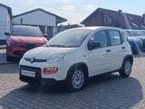 Fiat Panda 1.0 MHEV #SitzHzg. #Klima - Fiat Panda Gebrauchtwagen in Mönchengladbach