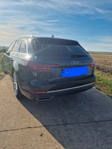 Audi A4 50 TDI tiptronic quattro Avant - - Audi A4 mit Diesel-Antrieb: Kombi, 5tdi