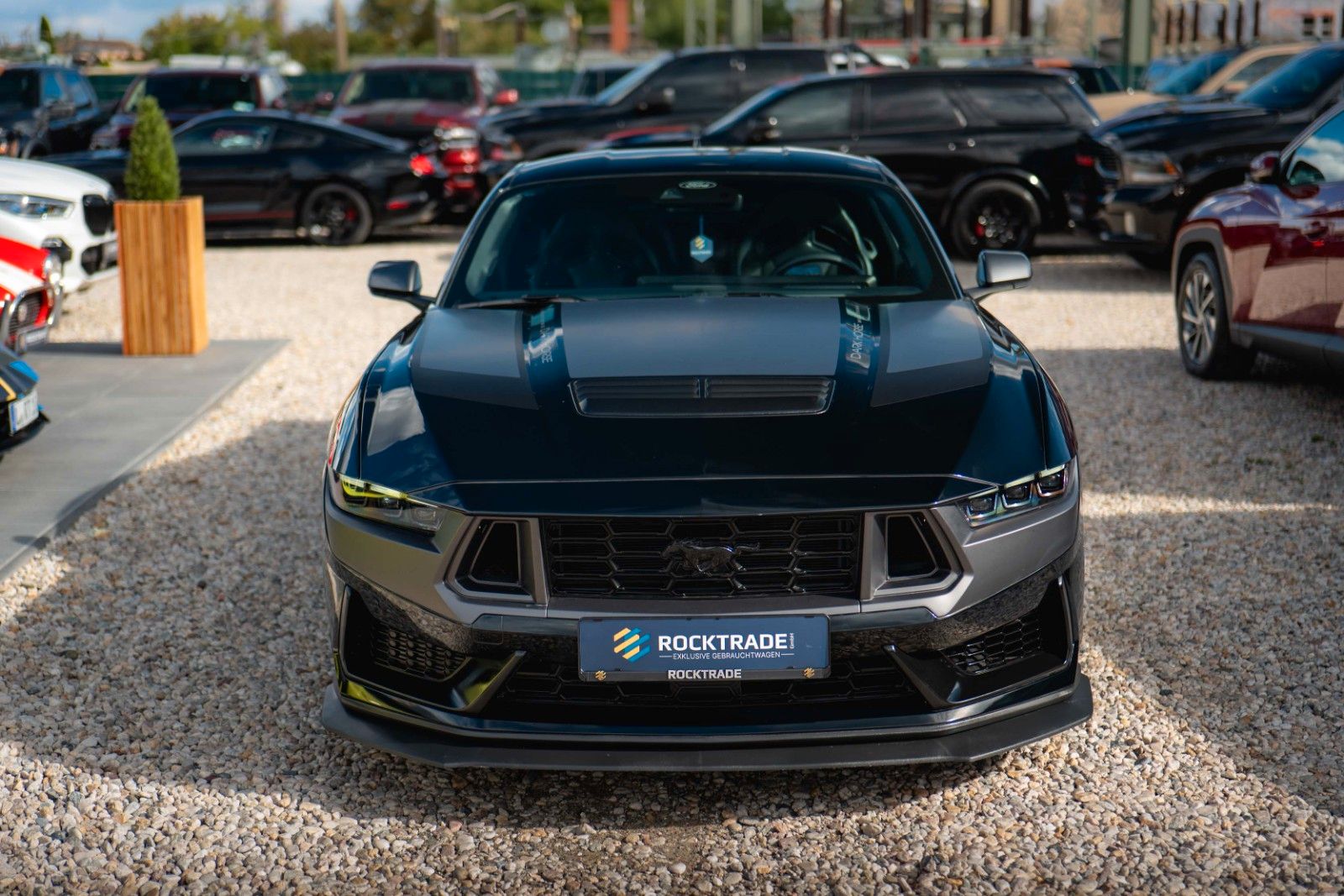 Fahrzeugabbildung Ford Mustang 5.0 Ti-VCT V8 Dark Horse TREMEC 6-Gang