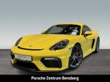 Porsche 718 Cayman GT4 - Porsche Cayman in Köln