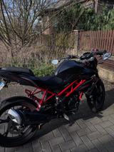 Benelli BN125 - BENELLI BN 125