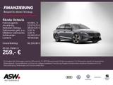 Skoda Octavia Combi RS 2,0 TSI 265PS DSG ACC 360° AHK