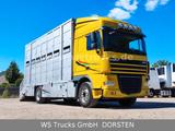 DAF XF 410 SC Menke Doppelstock - DAF Dreiseitenkipper