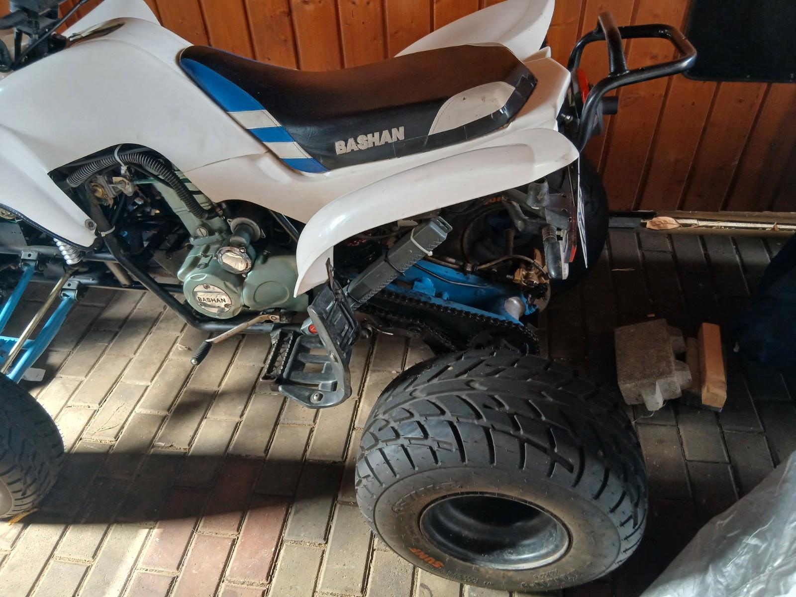 Bashan  2009 — rear view