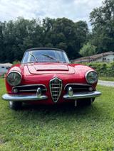 Alfa Romeo Giulia  - Alfa Romeo Giulia: Cabrio