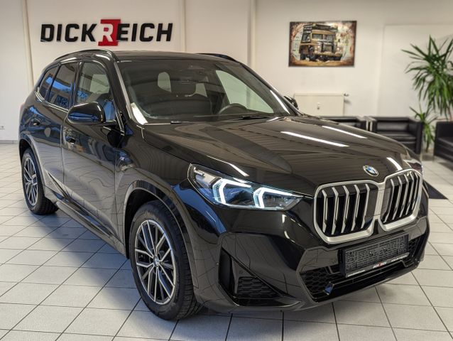 BMW X1 20 d Xd M-Sport Cam Pano ACC LED-adaptiv AHK