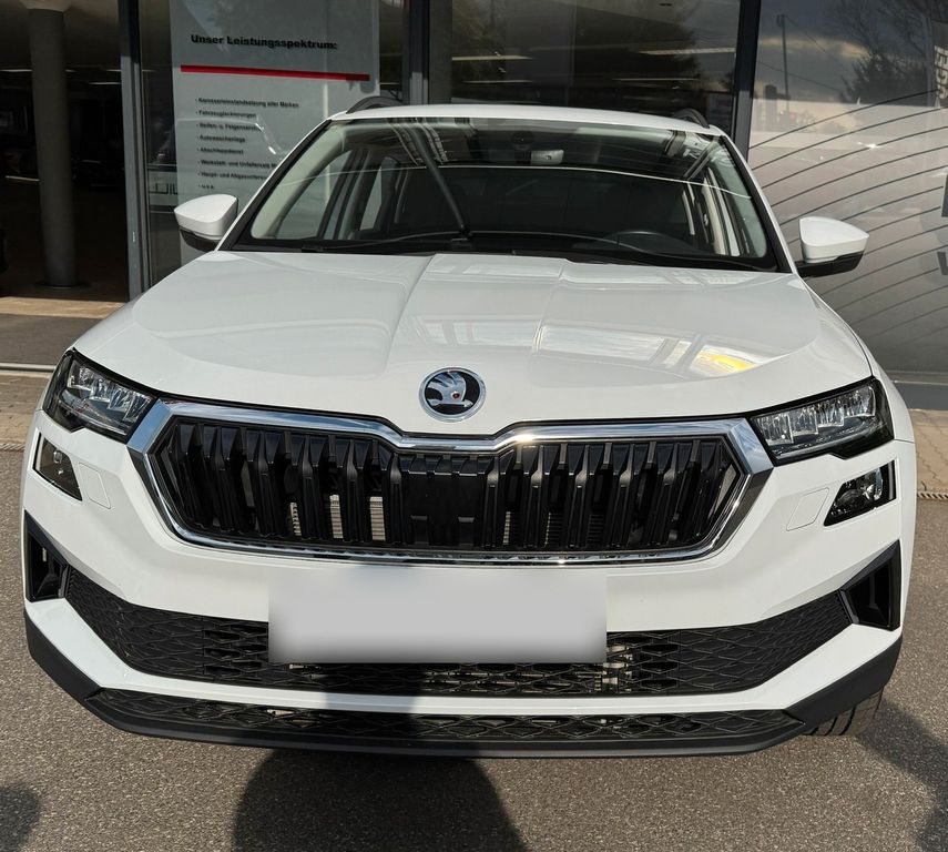Image of Skoda Karoq