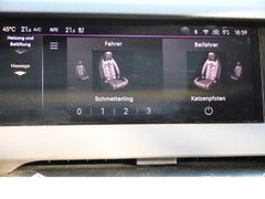 Fahrzeugabbildung DS Automobiles DS4 Cross Rivoli*Night Vision!*Active Scan Susp!
