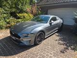 Ford Mustang 5.0 Ti-VCT V8 GT Auto GT - gebrauchte Ford Mustang aus dem Jahr 2023