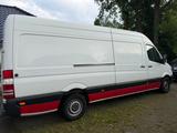 Mercedes-Benz Sprinter II Kasten 313 CDI, 1H, AHK, Maxi,134Tkm - Mercedes-Benz Sprinter in Rostock