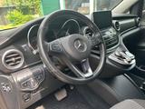 Mercedes-Benz Marco Polo Horizon 4M V250d - Offers