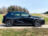 Lexus UX 250h Launch Edition  - Lexus UX Gebrauchtwagen