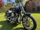 Harley-Davidson CVO Springer Softail  - HARLEY-DAVIDSON SPRINGER SOFTAIL