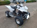 Kymco Maxxer 250 - QUAD VON 126 BIS 250 CCM