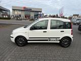Fiat Panda 1.2 8V MyLive - gebrauchte Fiat Panda aus dem Jahr 2011