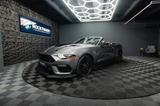 Ford Mustang Shelby GT 500 5.0 V8 PREMIUM Performance - Ford Mustang: Cabrio, Gt500