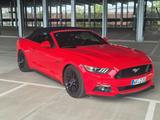 Ford Mustang 5.0 V8 Cabrio GRAIL Schalter - Ford Mustang Gebrauchtwagen in Braunschweig