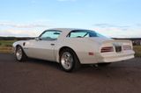 Pontiac Trans Am 455-HO Coupe 7,5 L|H-Zul|Seltenheit - Pontiac: Am
