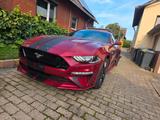 Ford Mustang 2.3 EcoBoost auto - - Ford Mustang: 2.2