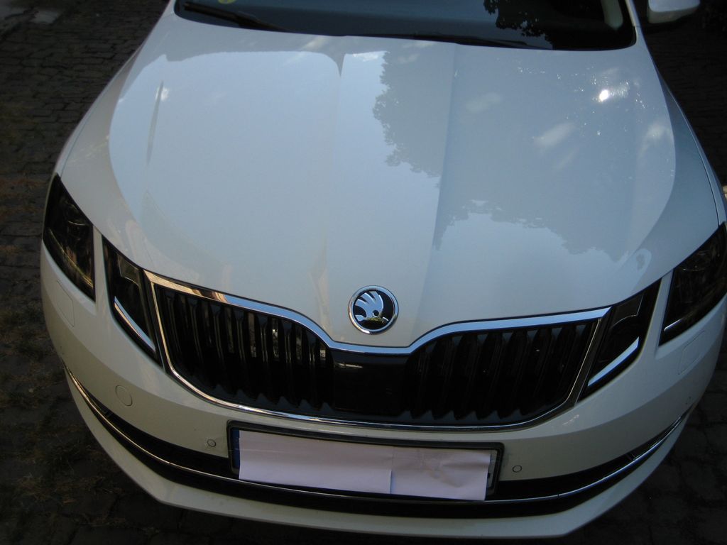 Image of Skoda Octavia