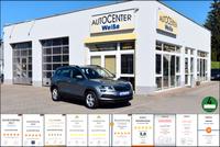 Skoda Karoq Ambition TÜV Neu AHK Garantie 1.-Hand