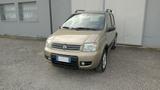 Fiat Panda Climbing Natural Power - Motore revisionat - Fiat Panda: Van