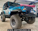 Jeep Wrangler 4,0L ''CUSTOM!'' Sperren,Winde,35er ! - gebrauchte Jeep Wrangler aus dem Jahr 1994