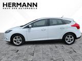 Ford Focus 1.0 EcoBoost - Champions Edition LED*SHZ - Ford Focus: Edition