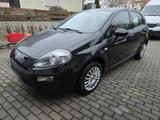 Fiat Punto - Fiat Punto Evo aus 2012
