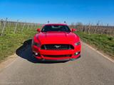 Ford Mustang 5.0 Ti-VCT V8 GT  - Ford Mustang in Ludwigshafen