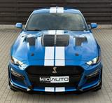 Ford Mustang 5.0 GT V8 - Ford: Firmenfahrzeug