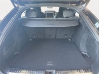 Audi SQ5 - Vorschau Bild 14