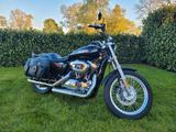 Harley-Davidson Harley Davidson Sportster 1200 - top Zustand - HARLEY-DAVIDSON 2007 SPORTSTER 1200