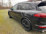 Porsche Cayenne S Diesel Platinum Edition Platinum E... - Porsche Cayenne S-Platinum-Edition