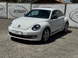 Volkswagen Beetle Lim. Sport*Bi-Xenon*MFL*Sitzh*PDC*Tempoma - Volkswagen Beetle Sport mit Diesel-Antrieb