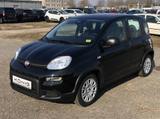 Fiat Panda MY24 1.0 Klima PDC Citypaket - Fiat Panda: My