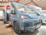 Challenger Van Sport Edition V210 Dieselheiz.*Arctic*Safety - Challenger Van V210 Sport Edition