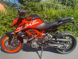 KTM Duke 390 - KTM Motorräder in Dresden