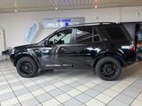 Land Rover Freelander 2 SE i4 - Land Rover Freelander Gebrauchtwagen