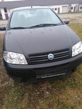 Fiat FIAT PUNTO 1.2  Tüv Oktober 2026 - Fiat Punto aus 2025